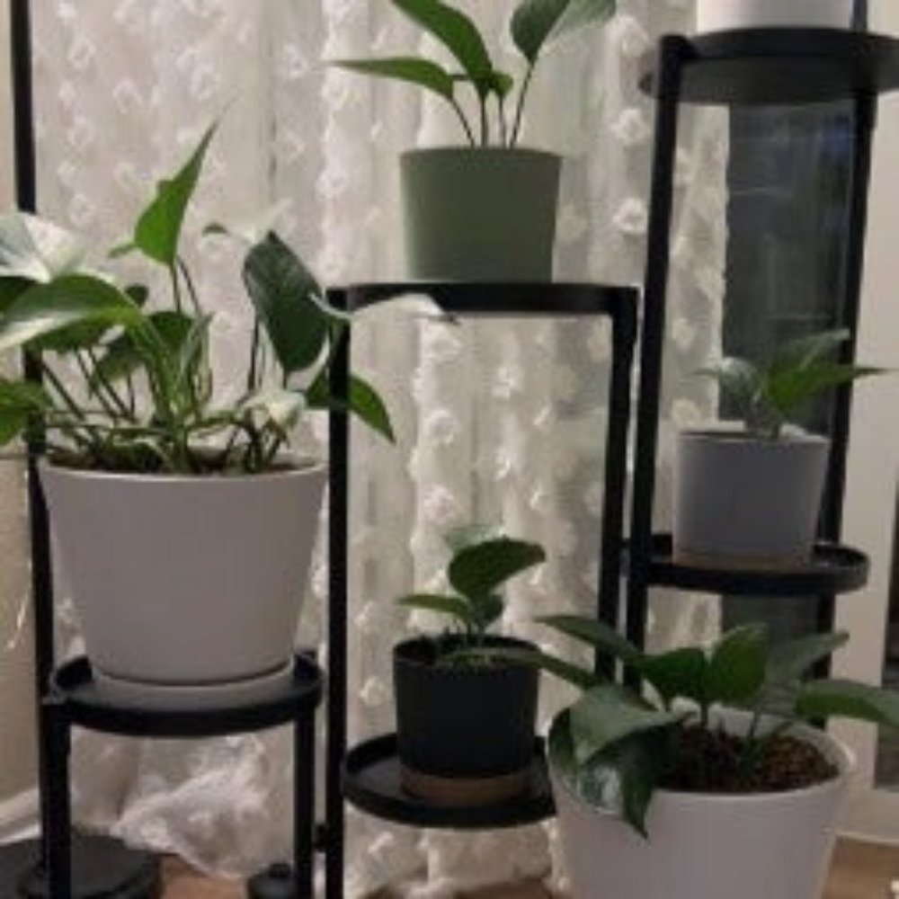 6 Tier Plant Stand Indoor Tall, Corner Metal Tiered Plant Stands